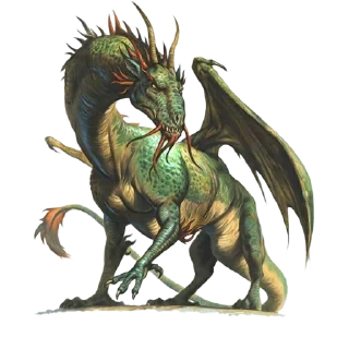 🐲
