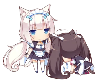 😽