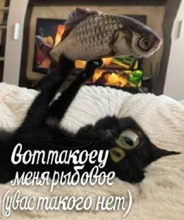 🐟