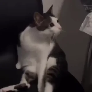 💺