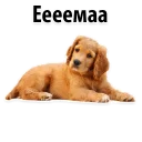 😀