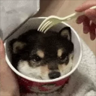 🍴
