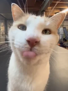 😛