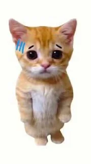 🤩