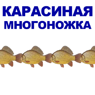 🐠