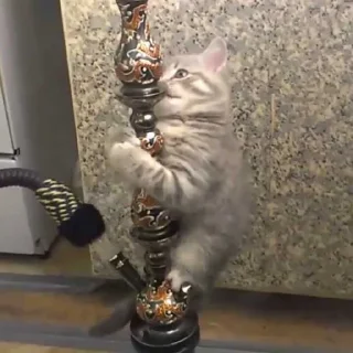 🚬