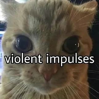 🤬