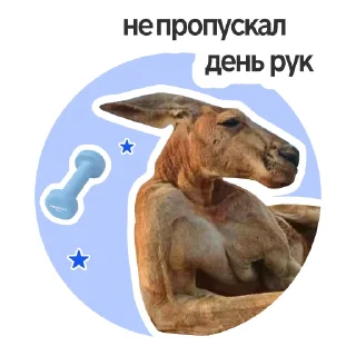 Спорт-пак @sportmasterofficial.