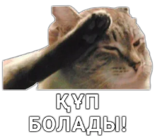 👌