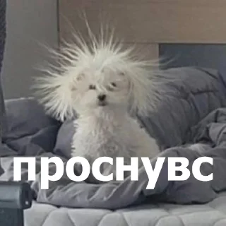 👋