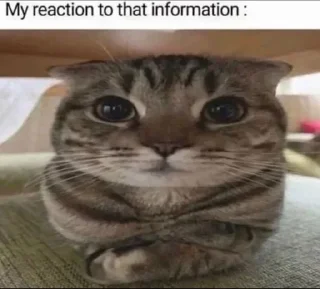 😳
