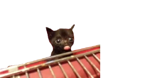 😛