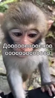 ☑