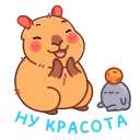 👏