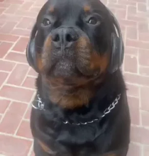 😐