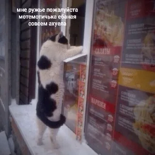 😓