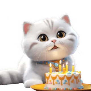 🎂