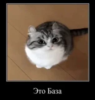 👍
