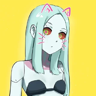 🐱
