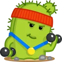 💪