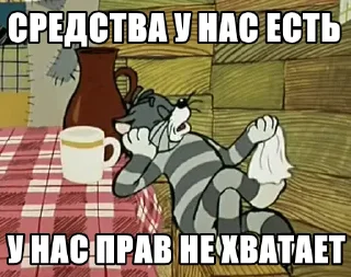 🐈