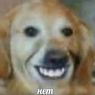 ✖️