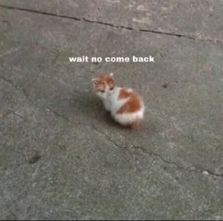🥺