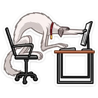💻
