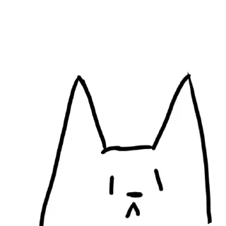 Котики