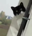 😐