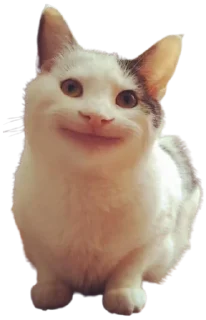 🙂