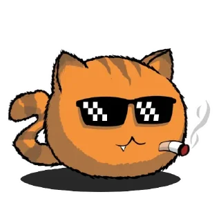 Kitten @stickersb2b