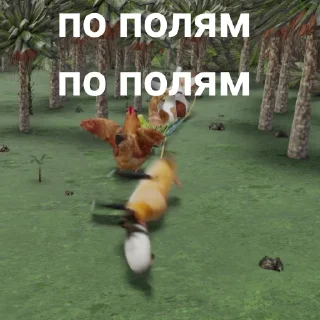 📦