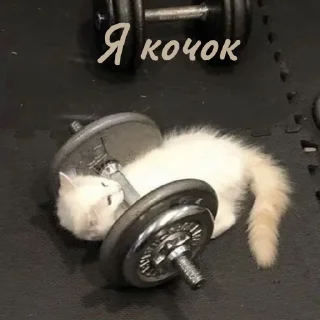 💪