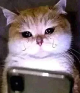 🥺