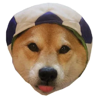 🐶