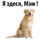 😊