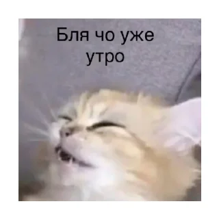 😩