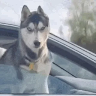 😠