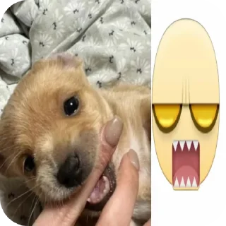 😌