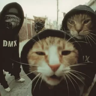 🎧