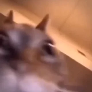 🙅‍♂