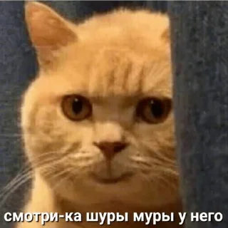 😏