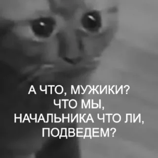 😳