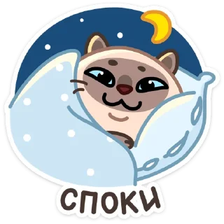 😴