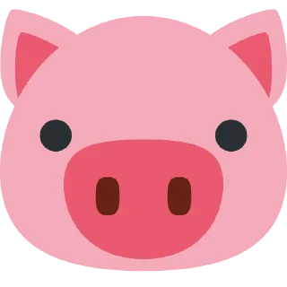 🐷