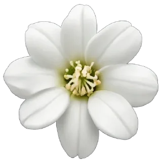 🌸
