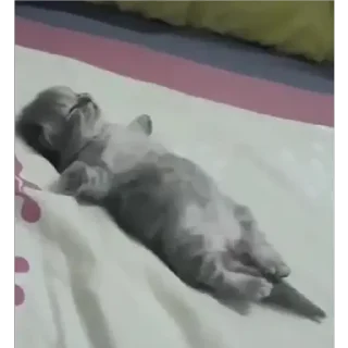 😴