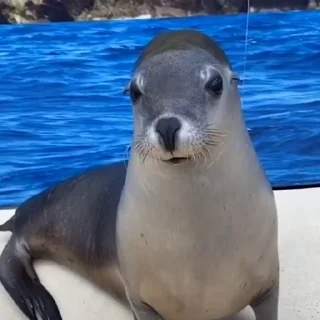 😏