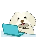 💻